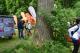 Impressionen 2014