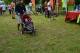 Impressionen 2014